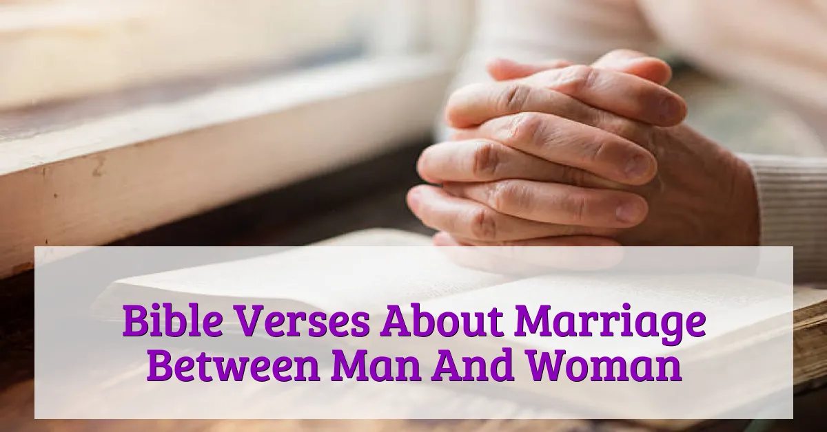 Bible Verses About Marriage Between Man And Woman,
