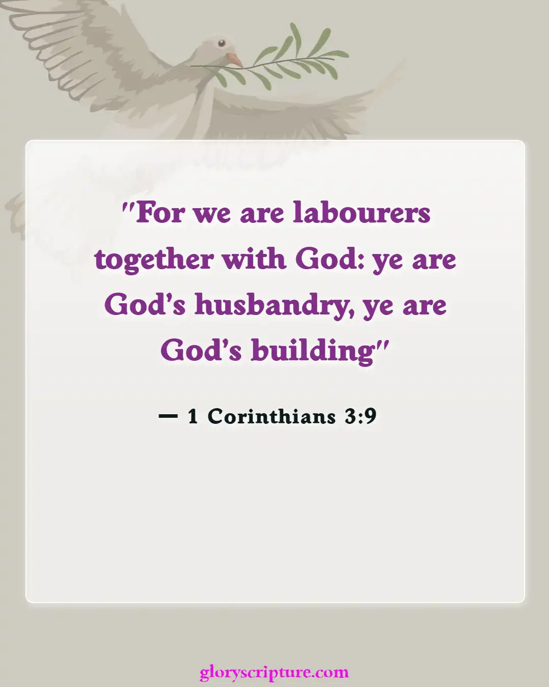 Bible Verses About Church Building, (1 Corinthians 3:9)