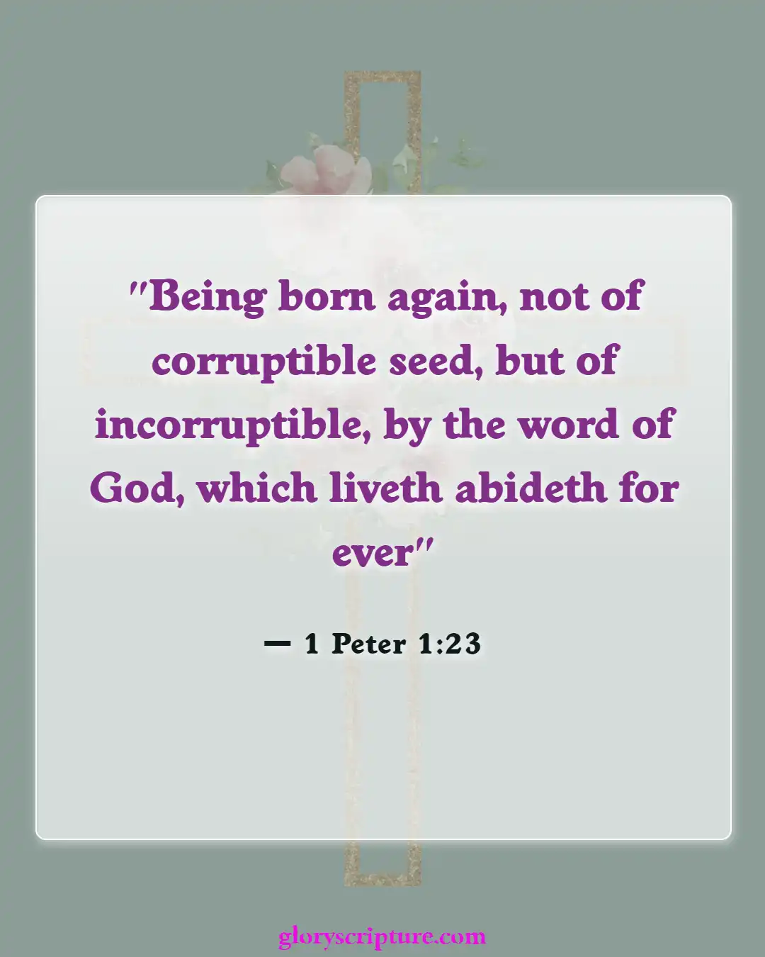 Bible verses About New Creation In Christ (1 Peter 1:23)