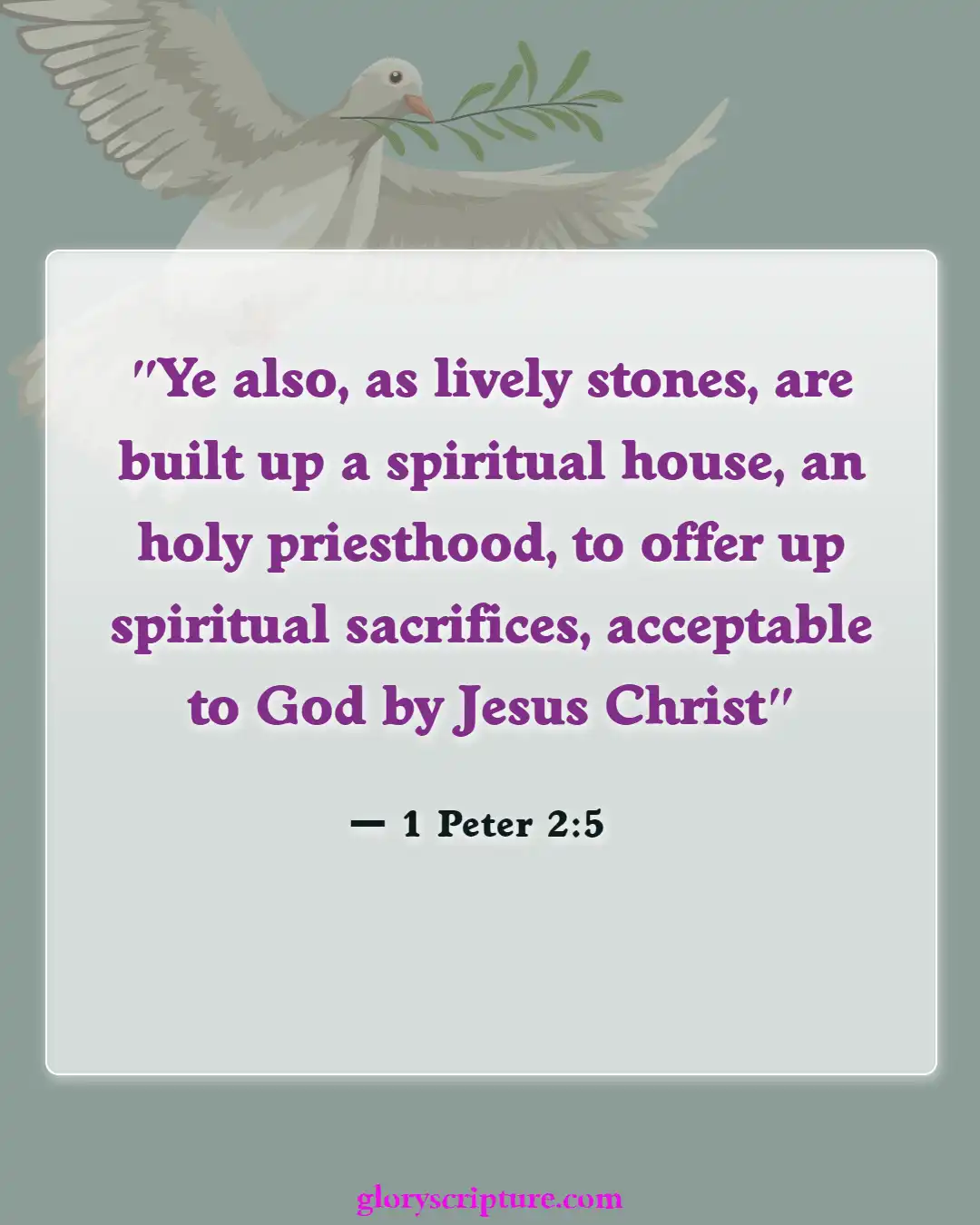 Bible Verses About Church Building, (1 Peter 2:5)