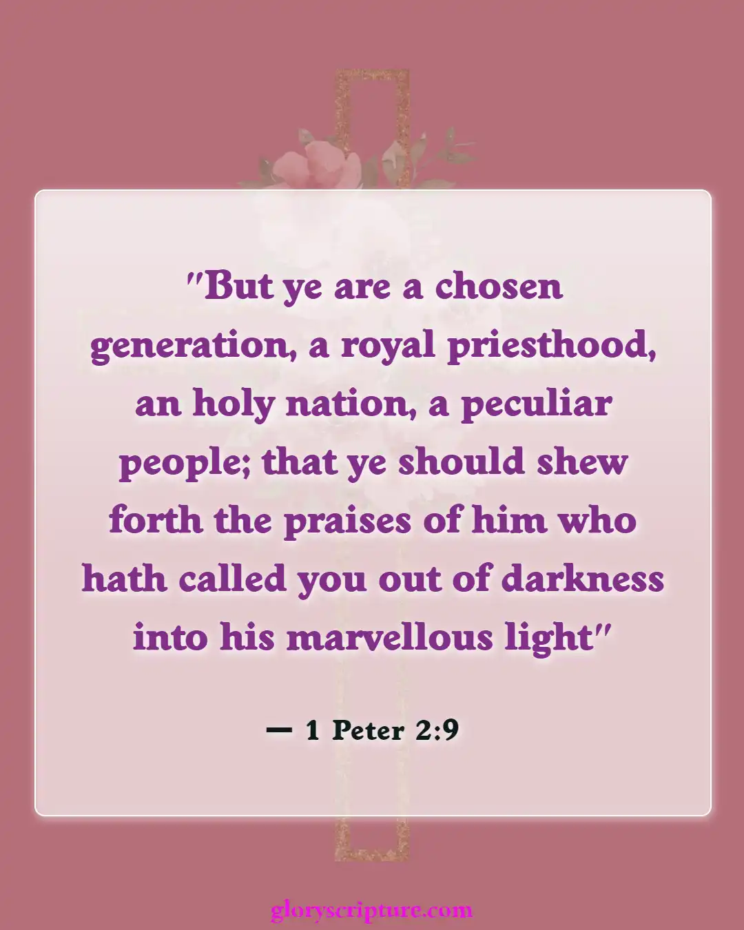 Bible verses About Enter The Kingdom Of God (1 Peter 2:9)