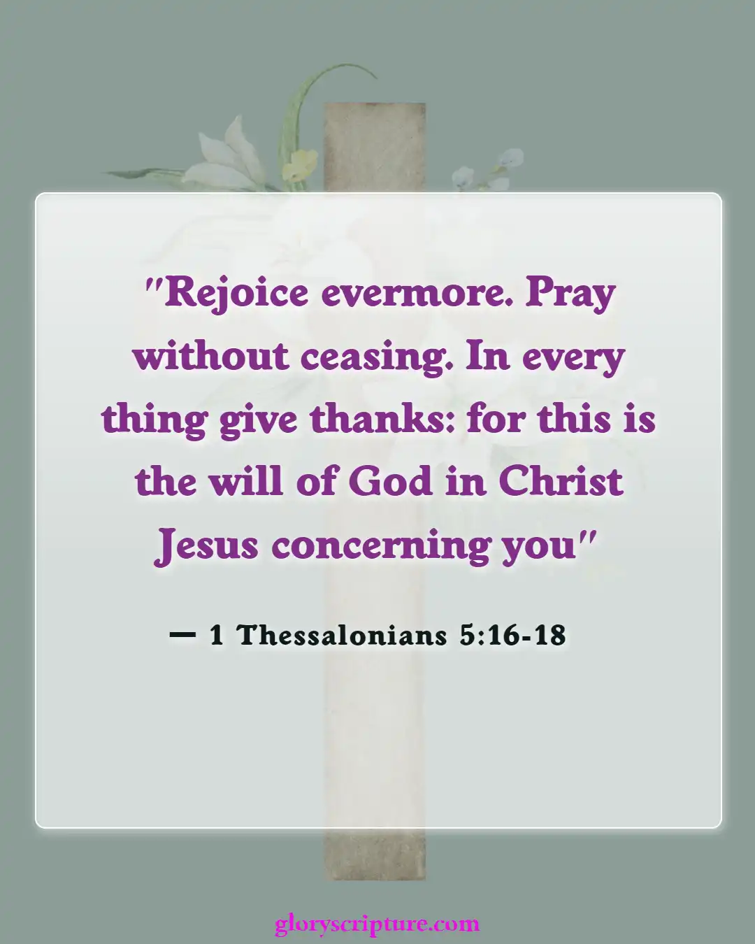 Bible Verses About Thoughts Of Suicide (1 Thessalonians 5:16-18)