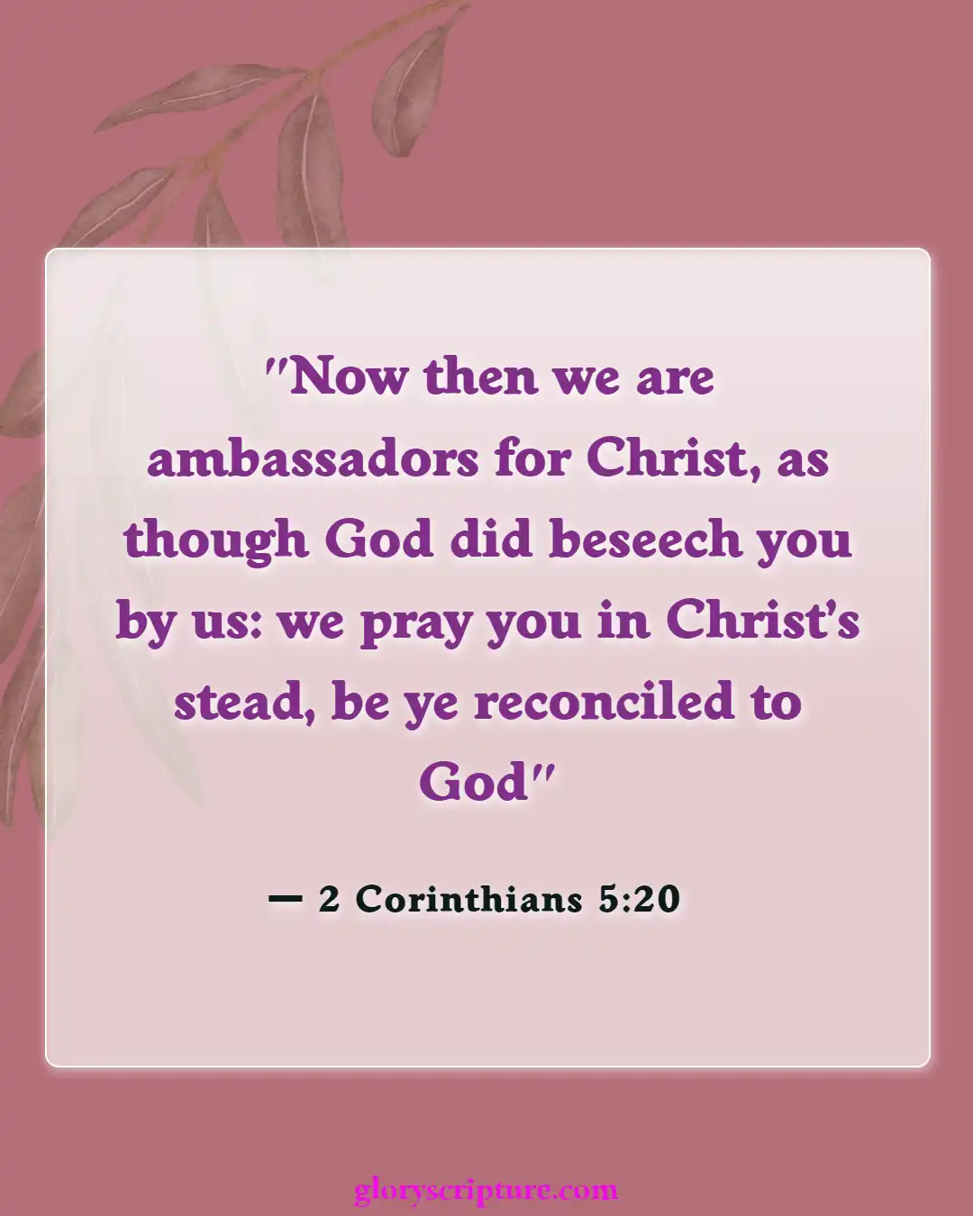 Bible verses About Enter The Kingdom Of God (2 Corinthians 5:20)