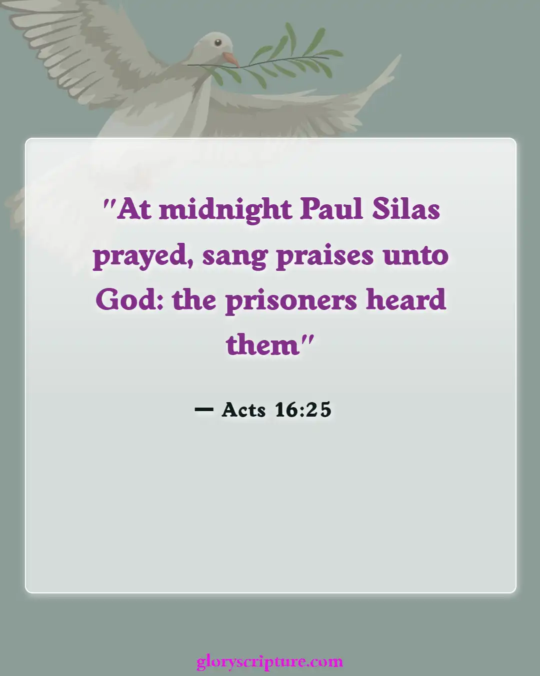 Bible Verses About Night Prayer (Acts 16:25)