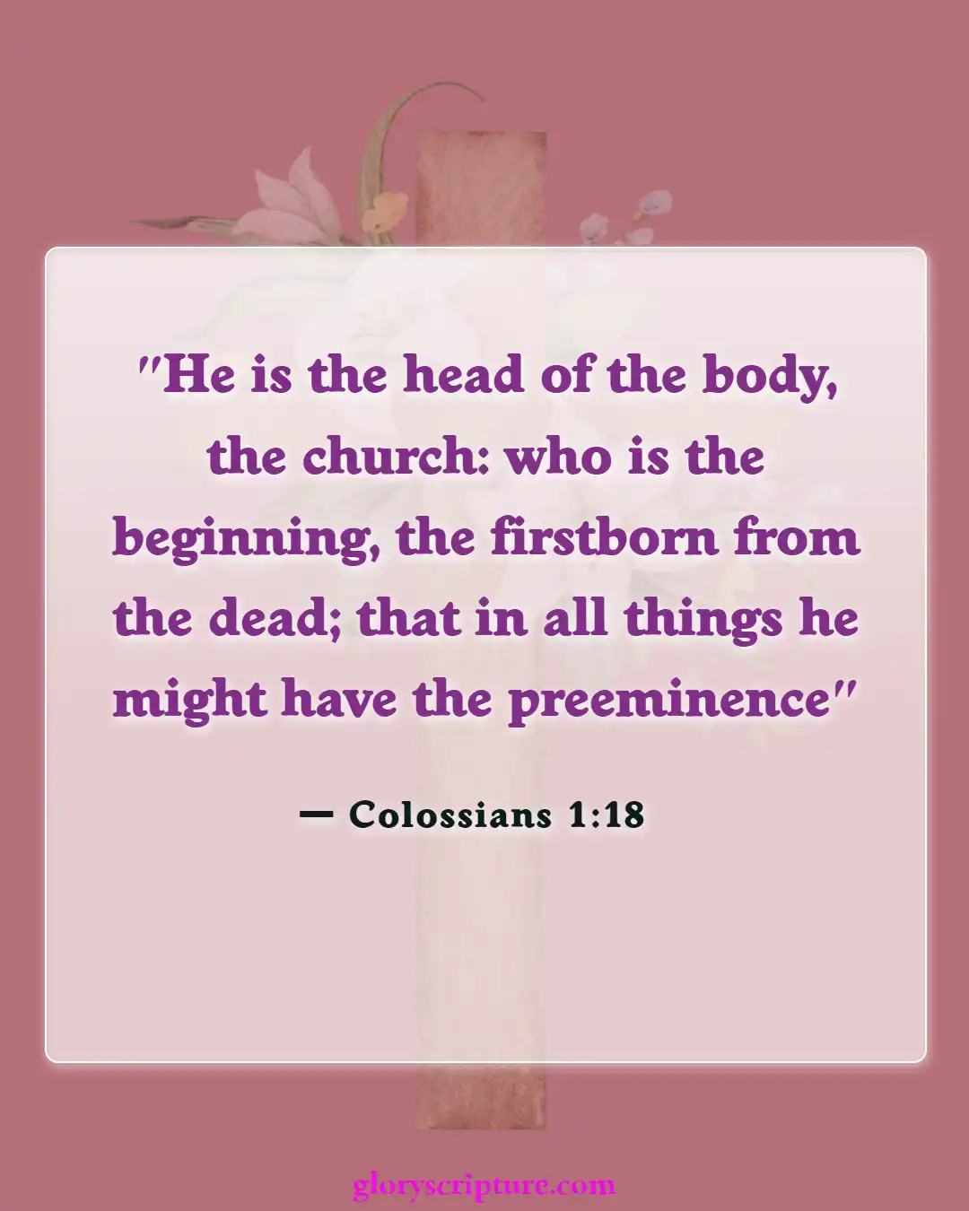 Bible Verses About Body Of Christ (Colossians 1:18)