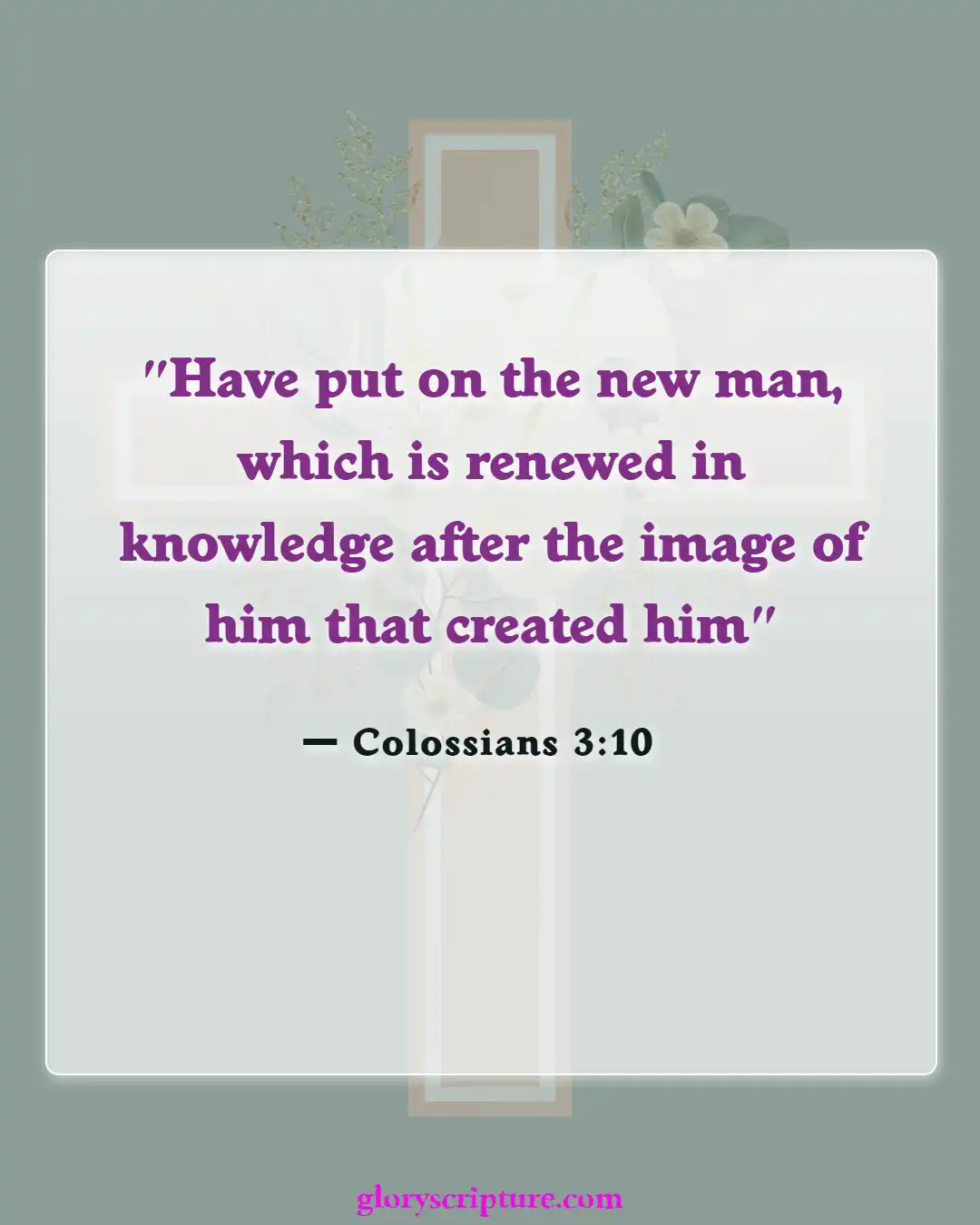 Bible verses About New Creation In Christ (Colossians 3:10)