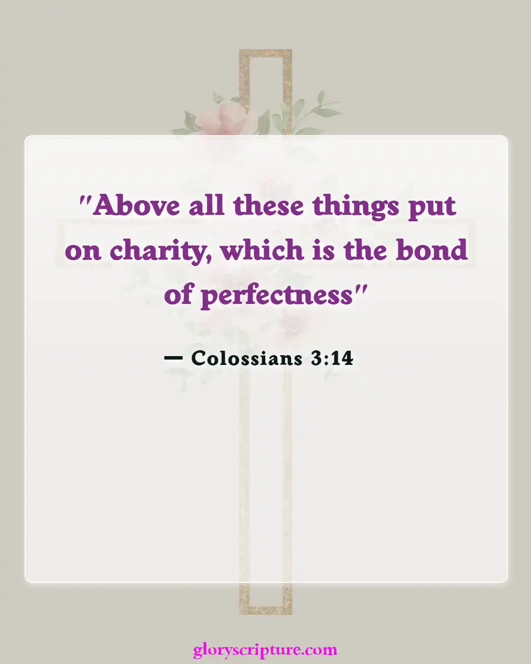 Bible Verses About Body Of Christ (Colossians 3:14)