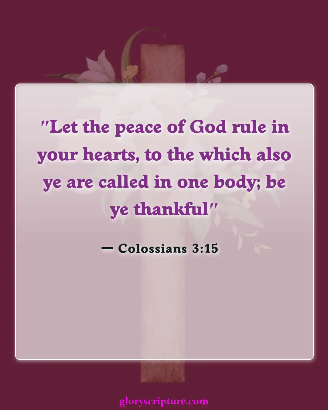 Bible Verses About Body Of Christ (Colossians 3:15)