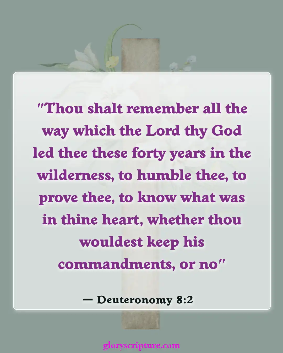 Bible Verses About God Testing Our Faith (Deuteronomy 8:2)