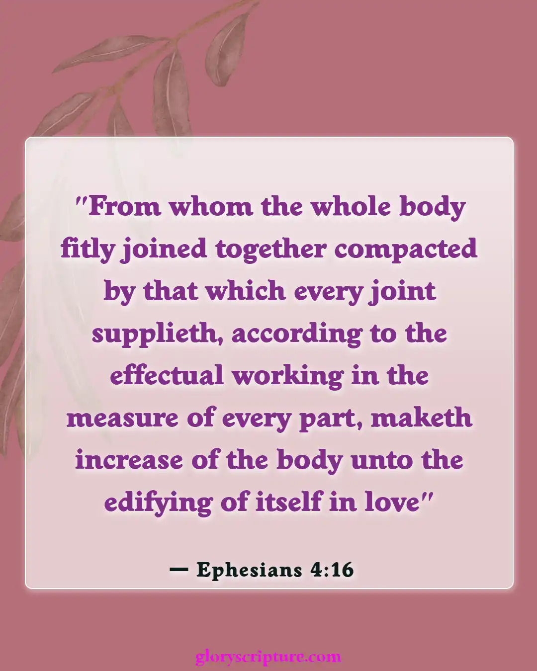 Bible Verses About Body Of Christ (Ephesians 4:16)
