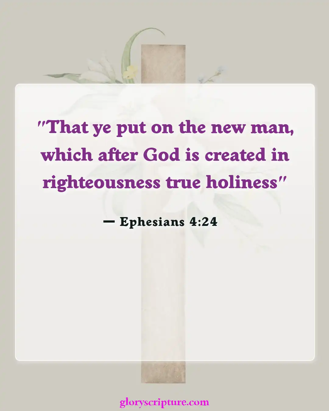 Bible verses About New Creation In Christ (Ephesians 4:24)