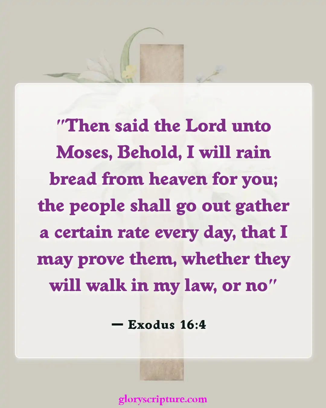 Bible Verses About God Testing Our Faith (Exodus 16:4)