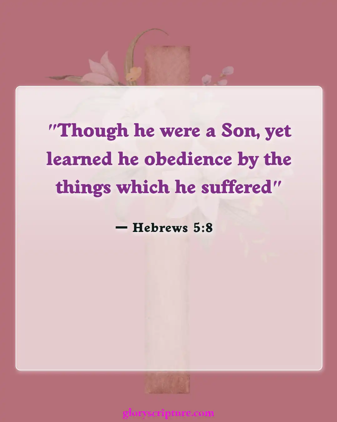 Bible Verses About God Testing Our Faith (Hebrews 5:8)
