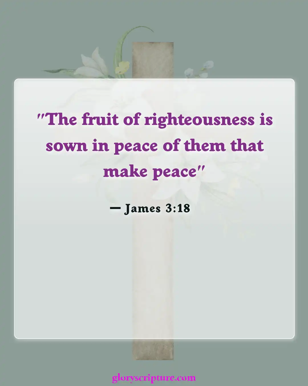 Bible verses About Peace Of Mind (James 3:18)