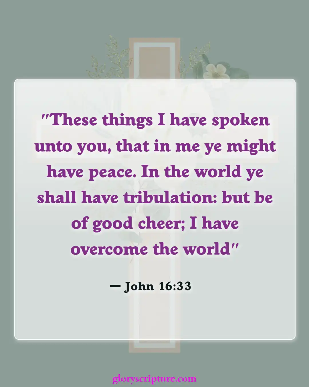 Bible verses About Peace Of Mind (John 16:33)