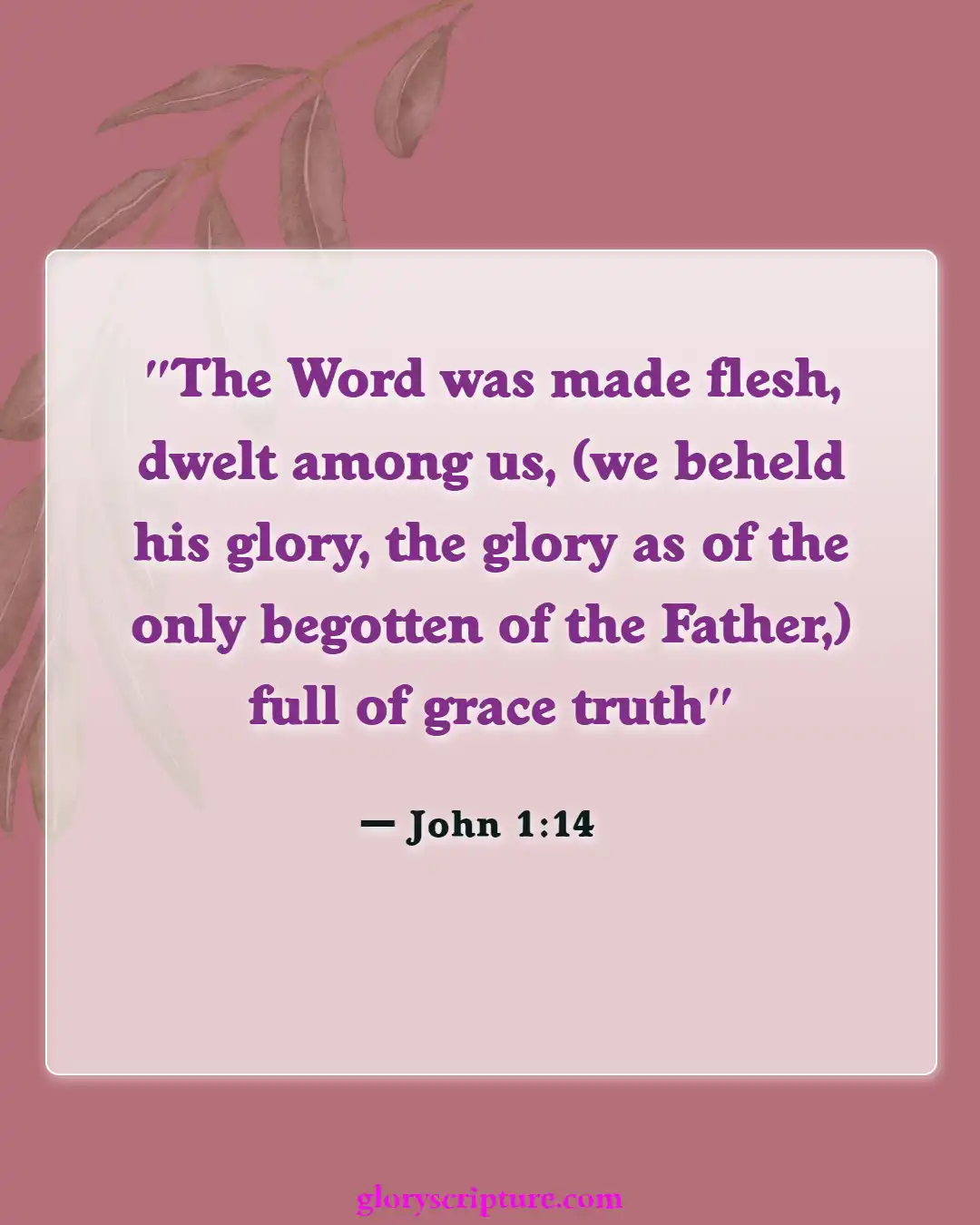 Bible Verses About God’s Unmerited Favor (John 1:14)