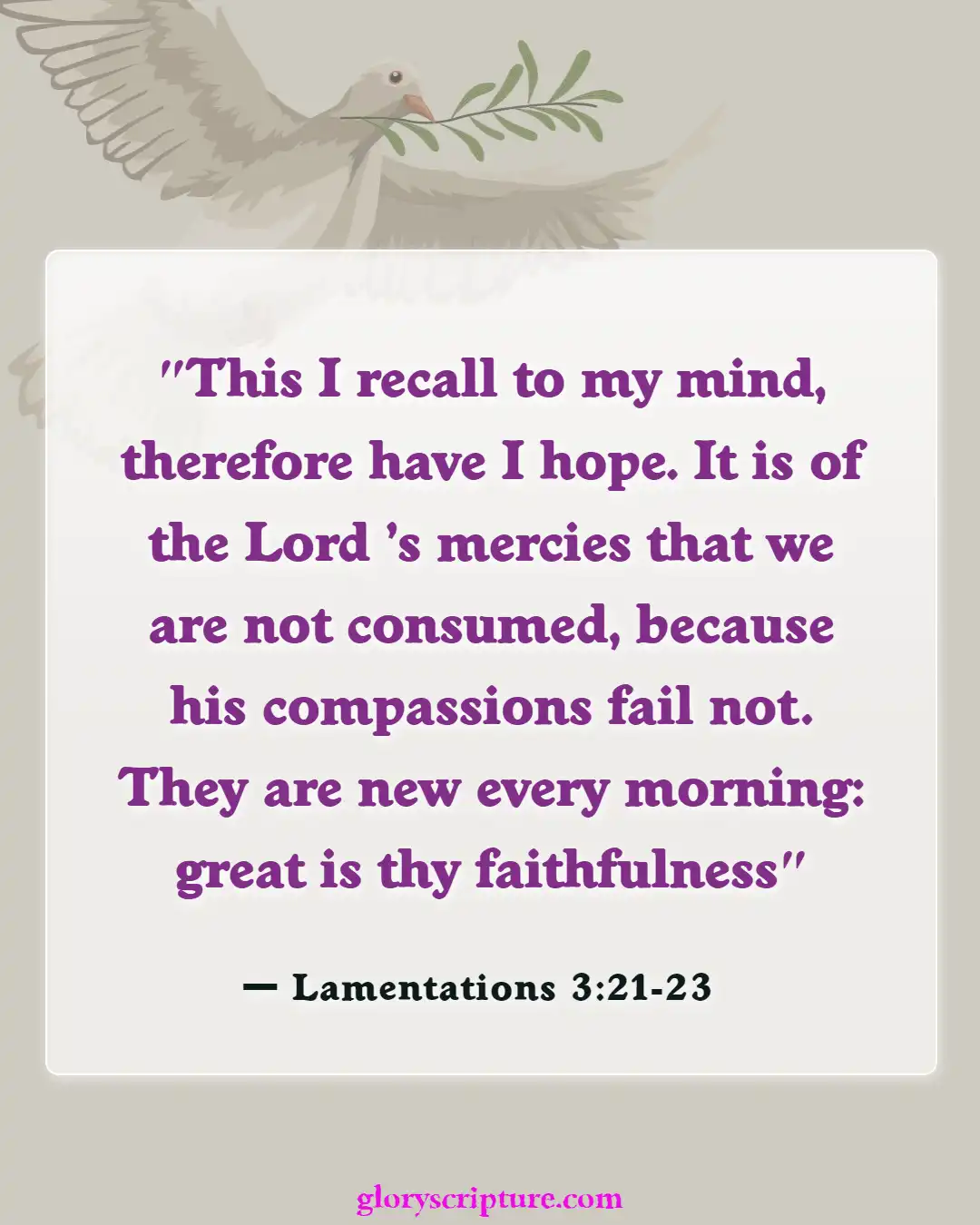 Bible Verses About Thoughts Of Suicide (Lamentations 3:21-23)