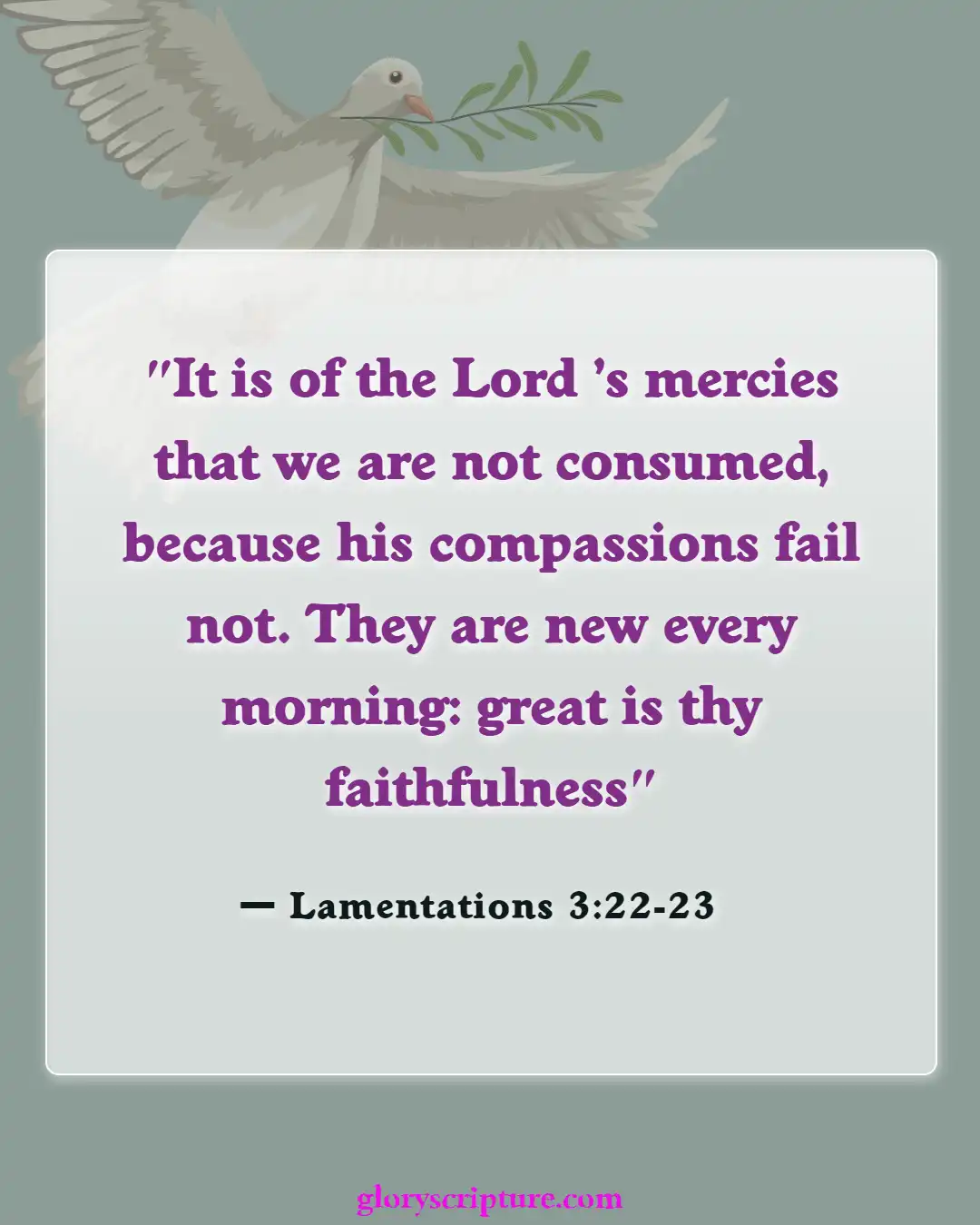 Bible Verses About Moving Forward (Lamentations 3:22-23)