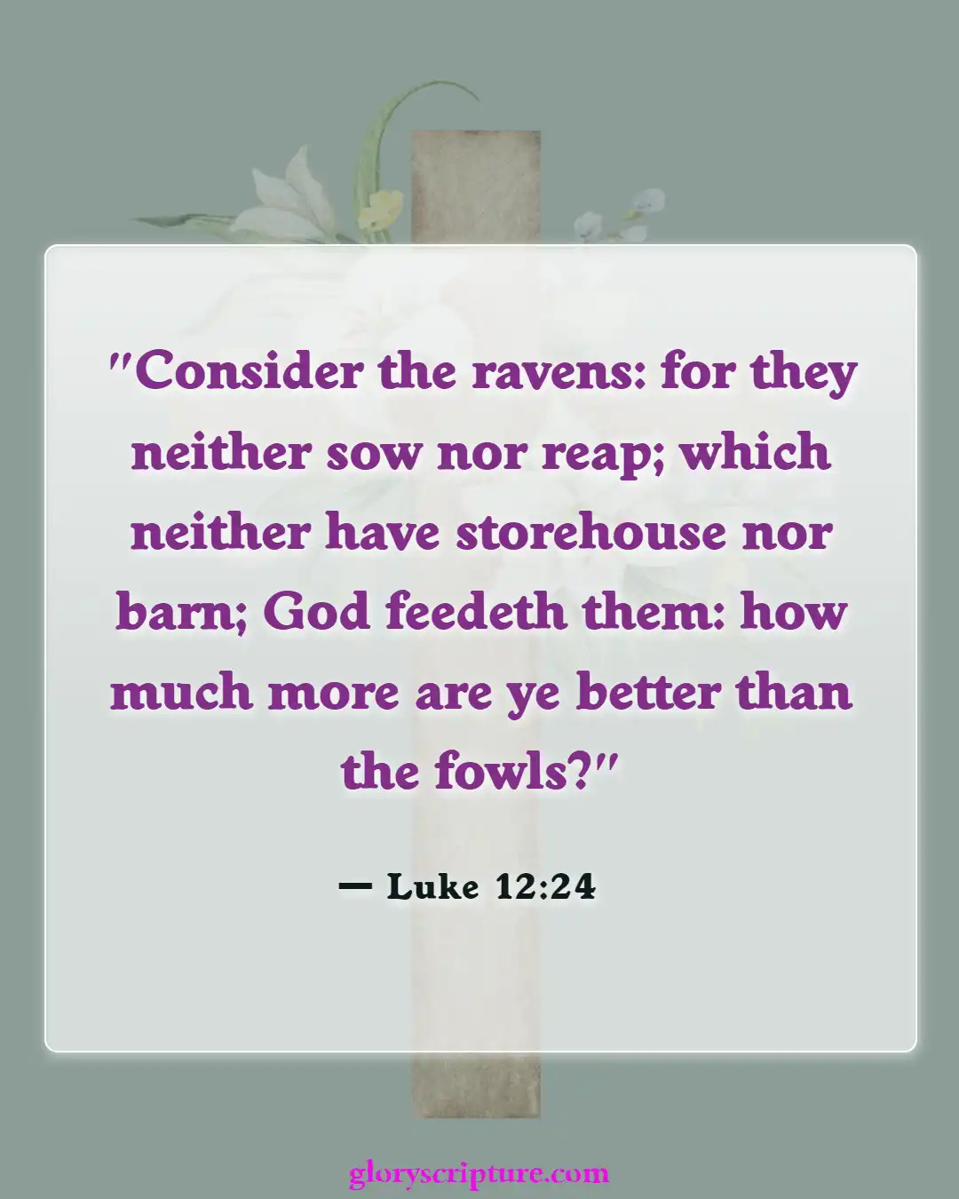 Bible Verses About Giving To Others (Luke 12:24)