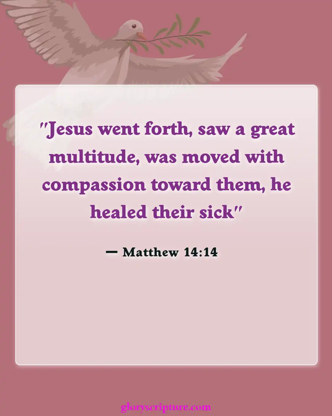 Bible verses About Care For The Sick (Matthew 14:14)