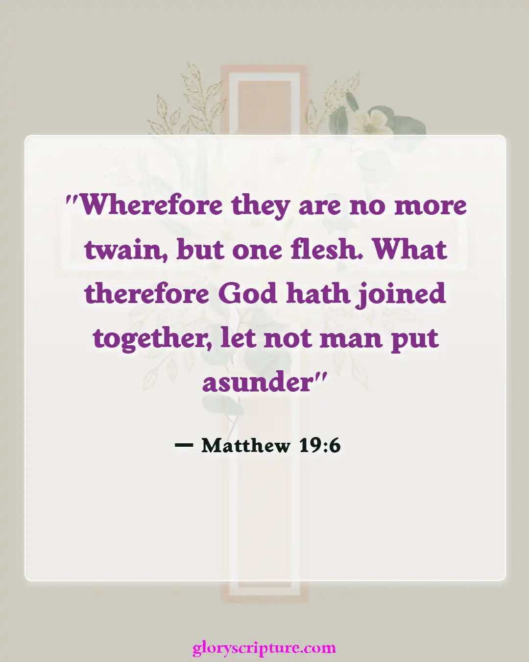 Bible verses About Divorce And Adultery (Matthew 19:6)