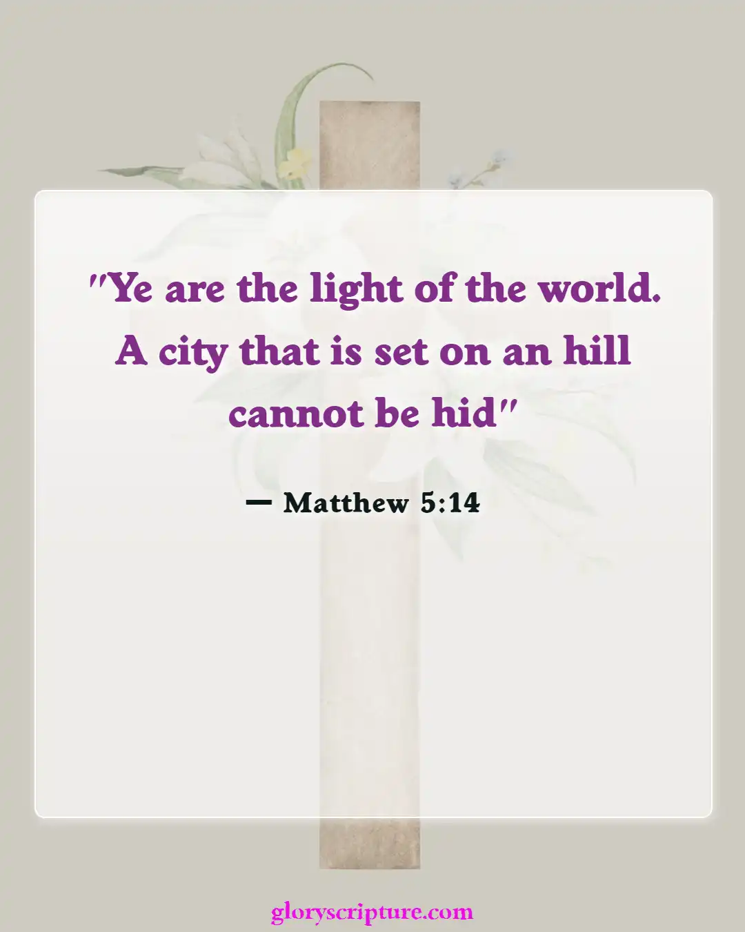 Bible verses About Enter The Kingdom Of God (Matthew 5:14)