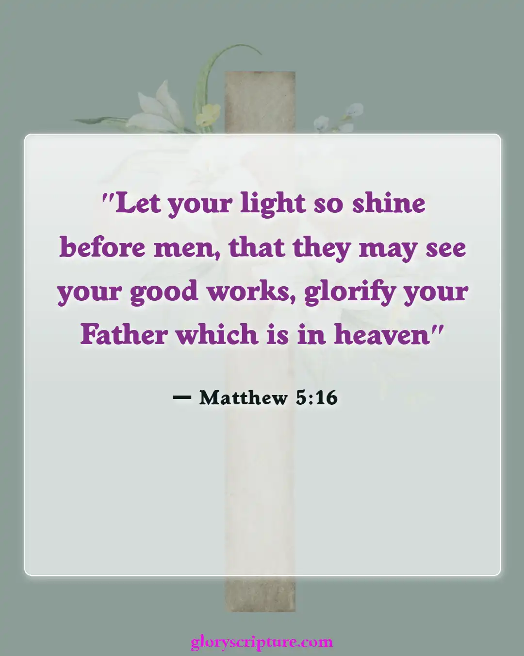Bible Verses About God’s Unmerited Favor (Matthew 5:16)