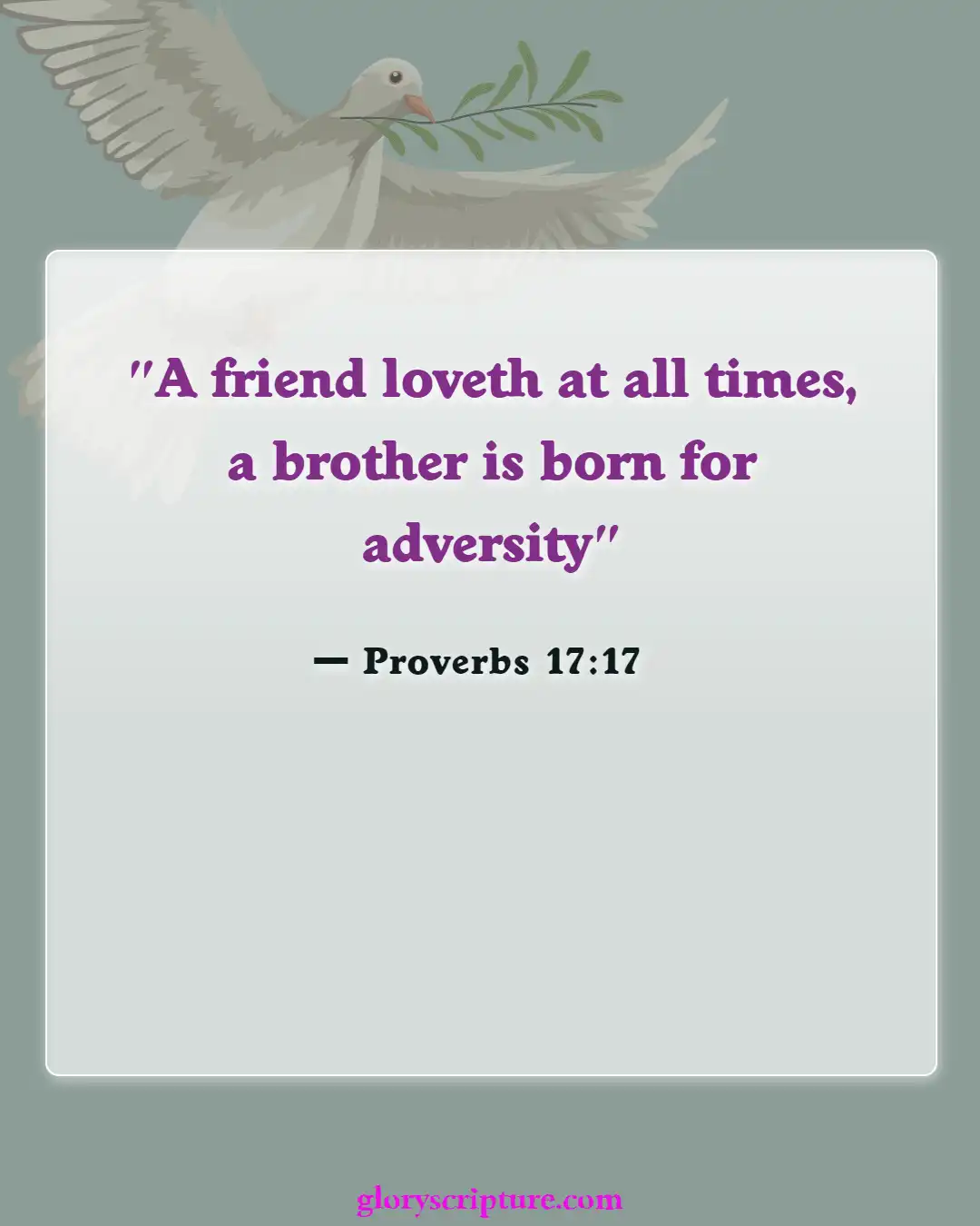 Bible verses About Care For The Sick (Proverbs 17:17)