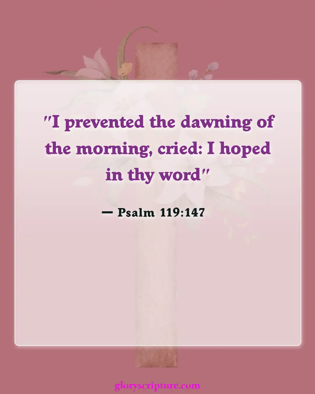 Bible Verses About Night Prayer (Psalm 119:147)