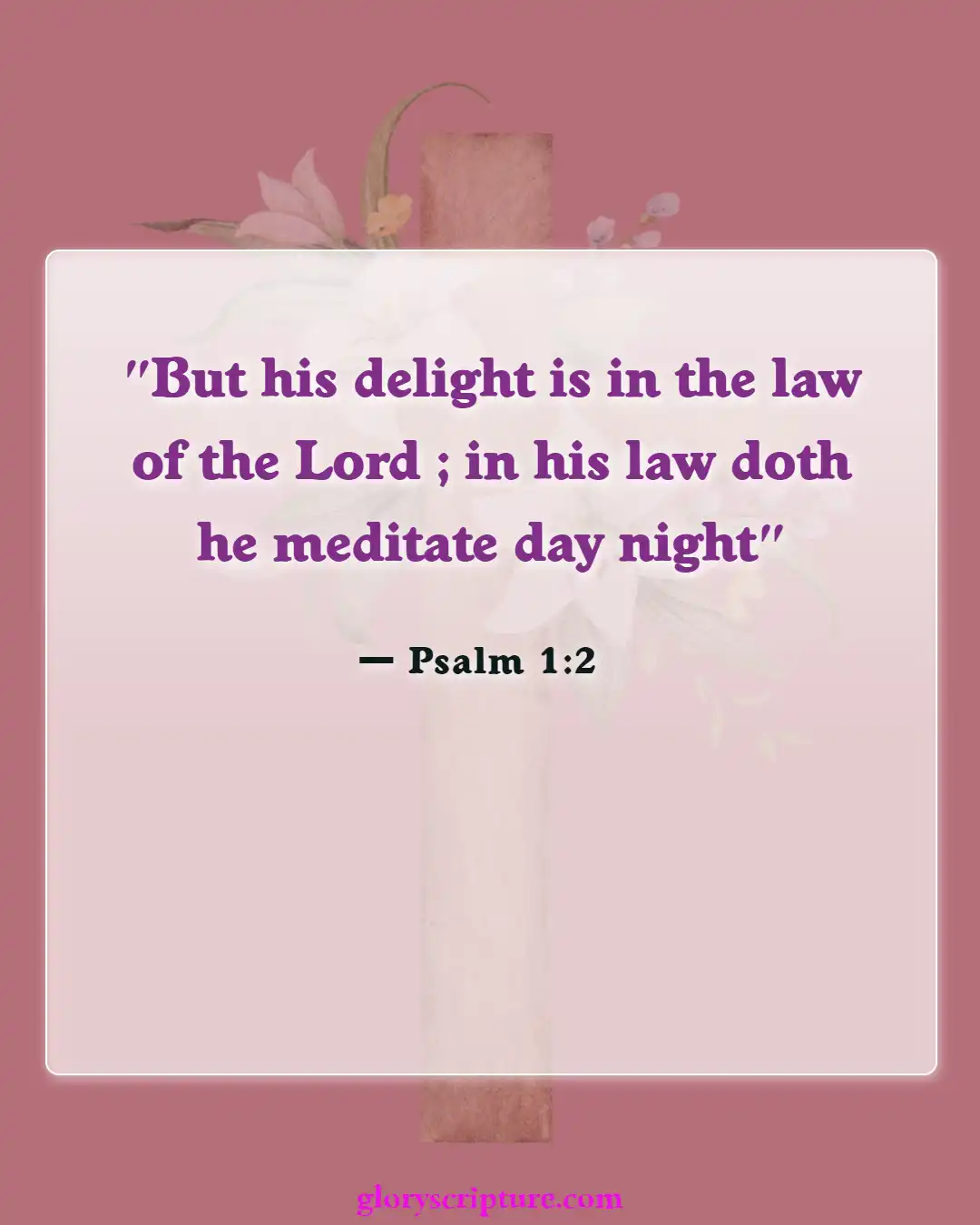 Bible Verses About Relationship With God (Psalm 1:2)