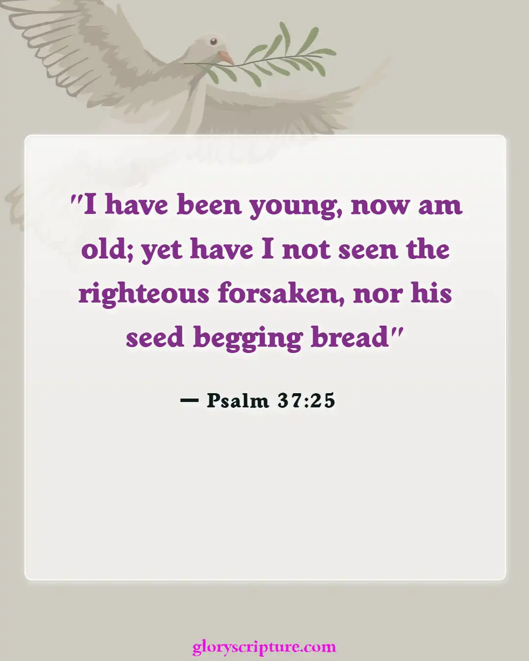 Bible Verses About Giving To Others (Psalm 37:25)