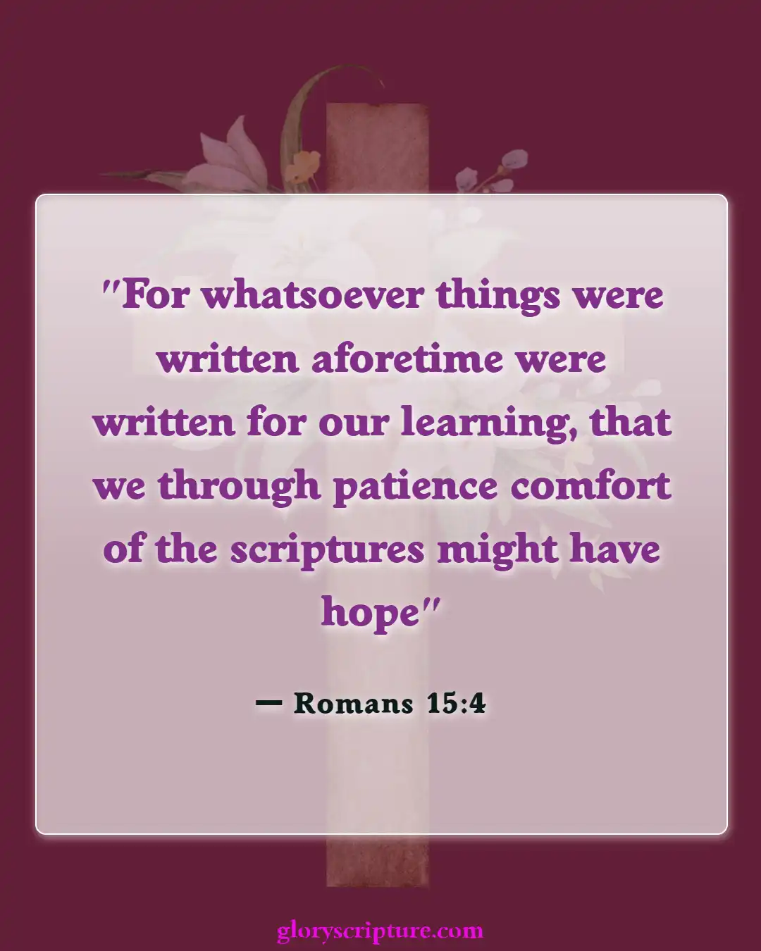 Bible verses About Care For The Sick (Romans 15:4)