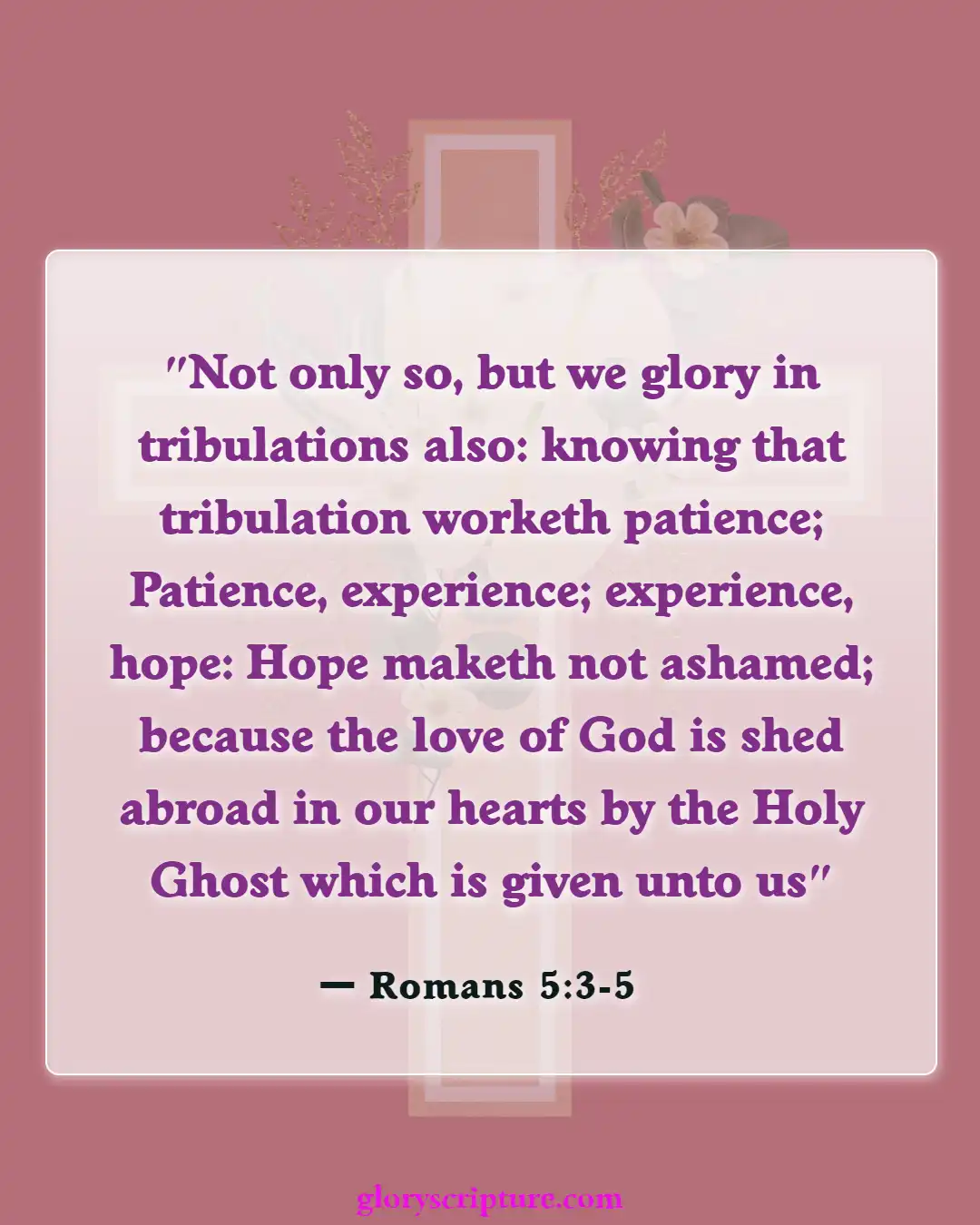 Bible Verses About Letting Go Of Things You Can’t Control (Romans 5:3-5)