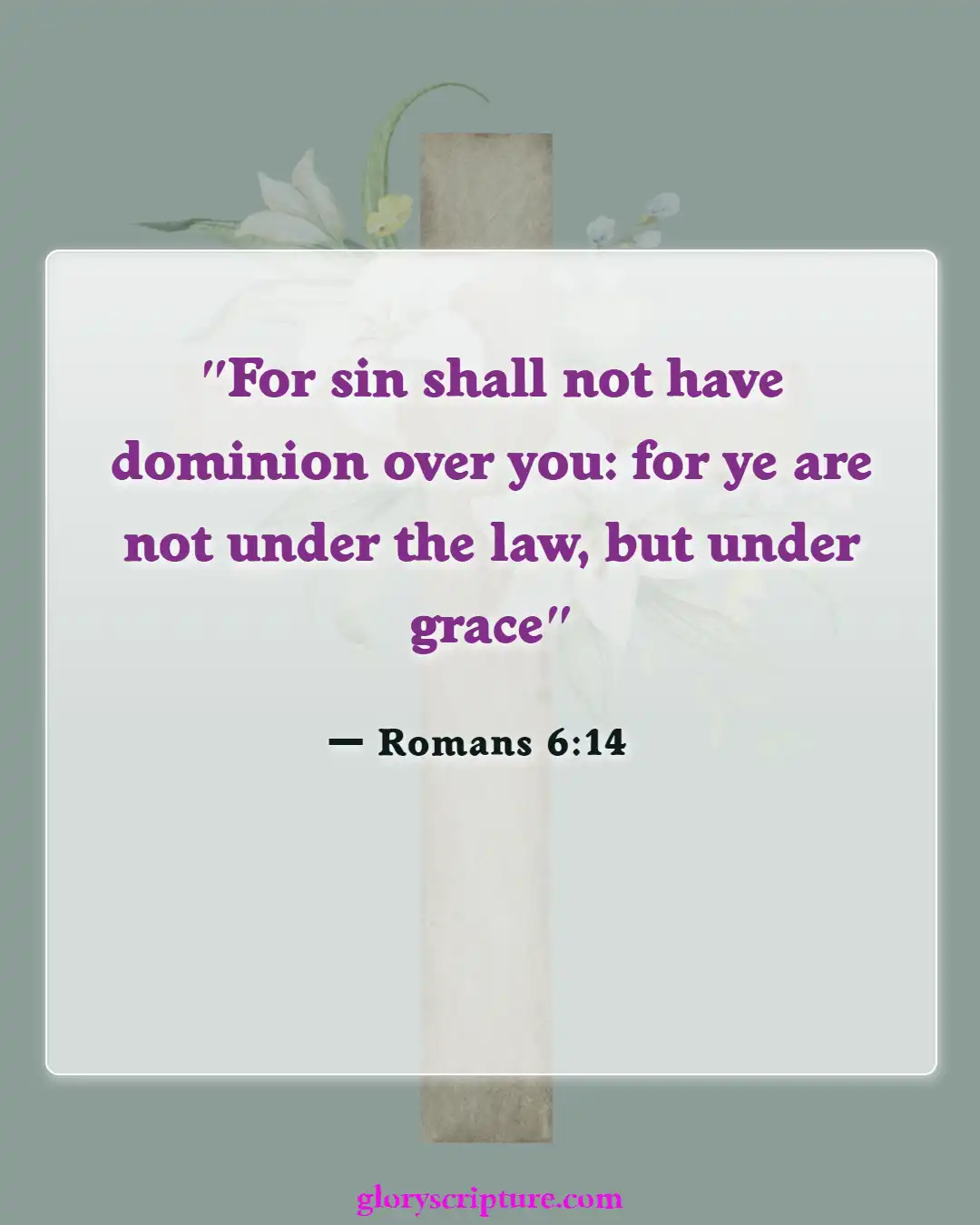 Bible verses About Effects Of Sin (Romans 6:14)