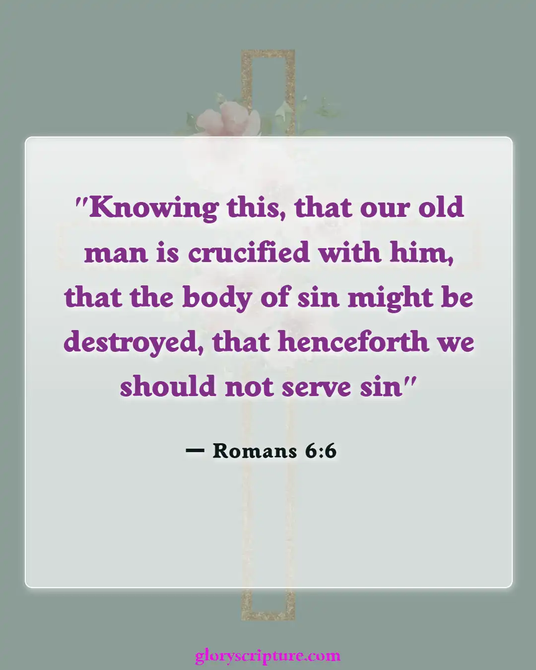 Bible verses About New Creation In Christ (Romans 6:6)